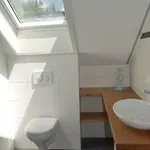 Fluehblueemli