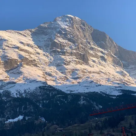 Fluehblueemli Grindelwald