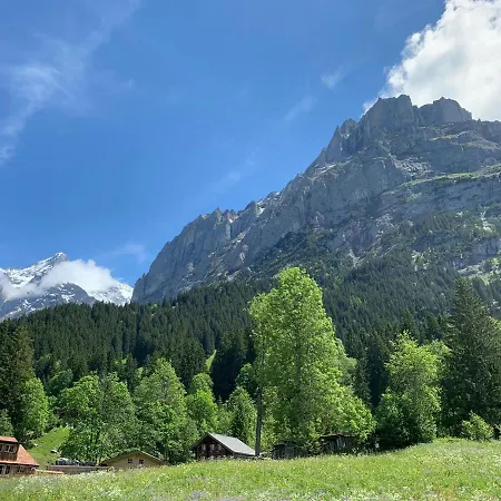 Apartamento Fluehblueemli Grindelwald