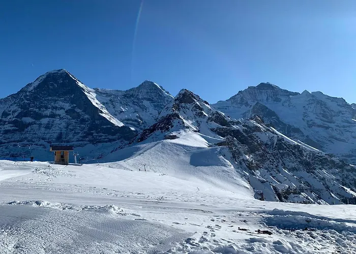 Fluehblueemli شقة *