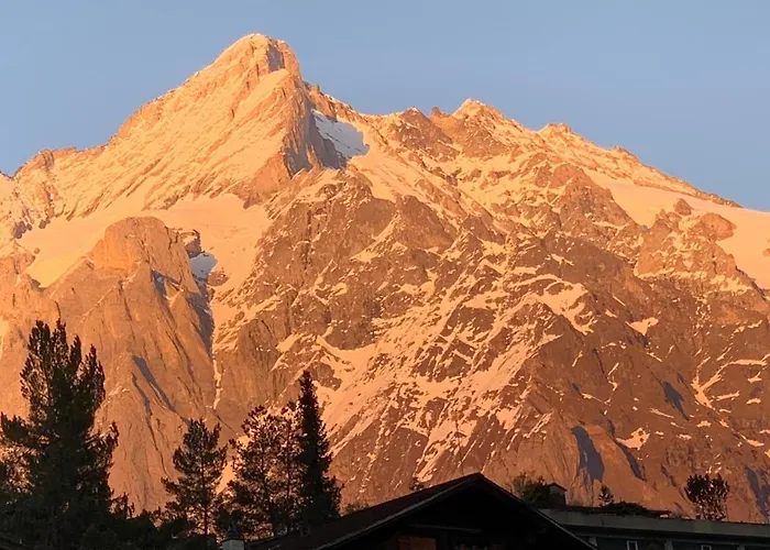 Lejlighed Fluehblueemli *