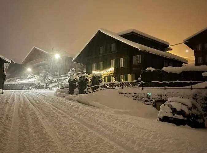 Fluehblueemli Lejlighed Grindelwald