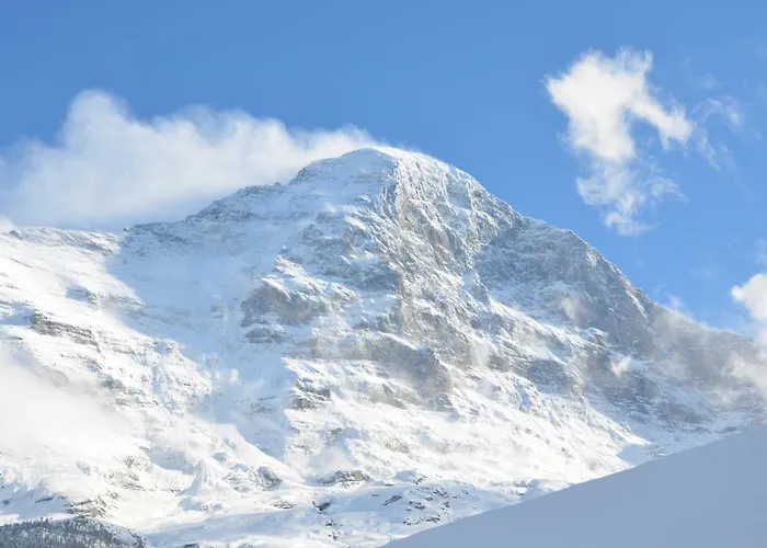 Fluehblueemli شقة