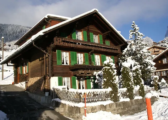 Fluehblueemli Apartamento Grindelwald