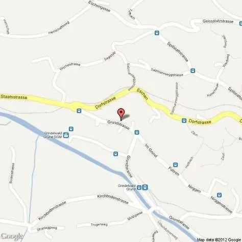 Fluehblueemli Lejlighed Grindelwald