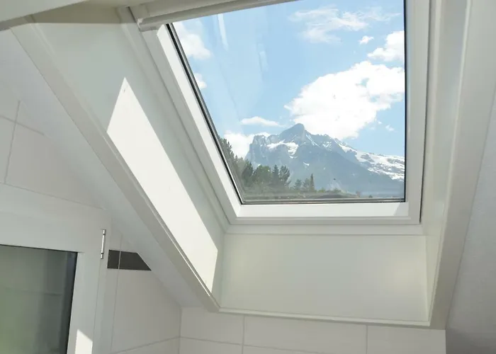 Fluehblueemli * Гриндельвальд