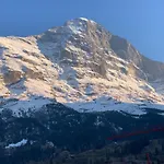 Fluehblüemli Grindelwald
