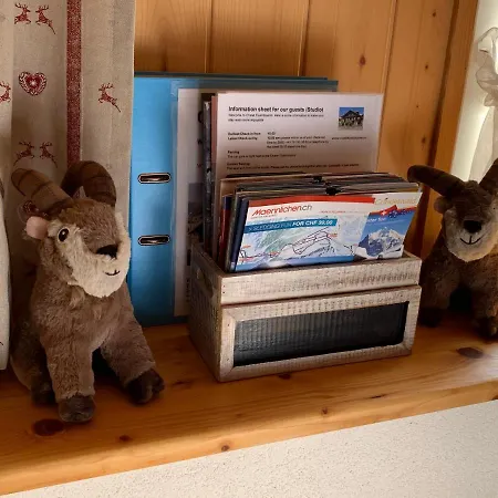 Apartamento Fluehblüemli *