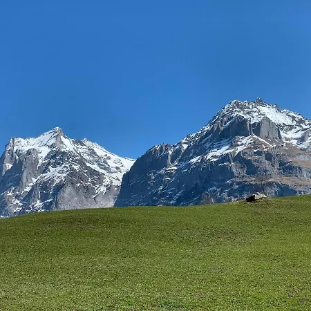 Fluehblüemli Apartamento Grindelwald