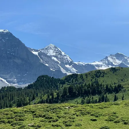 Fluehblüemli