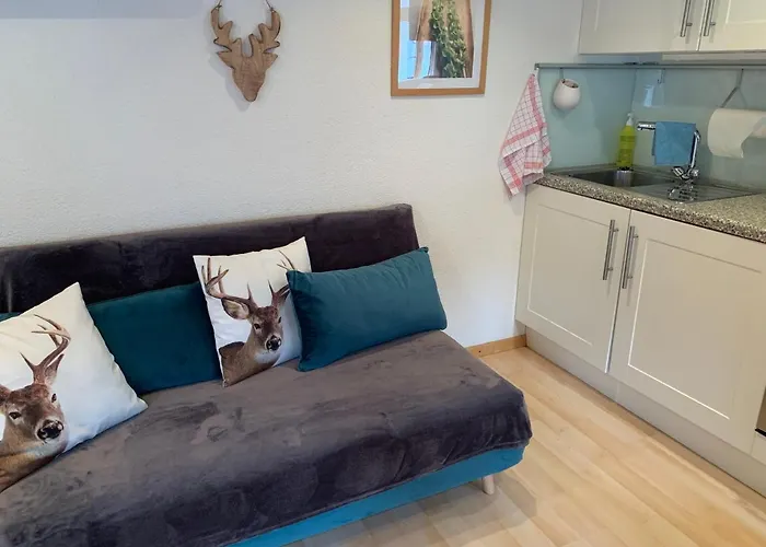 Fluehblueemli Appartamento