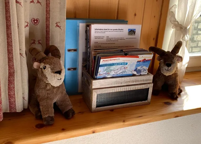 Appartamento Fluehblueemli *