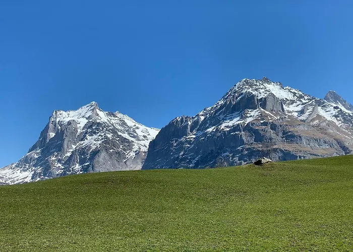 Fluehblueemli Appartamento Grindelwald